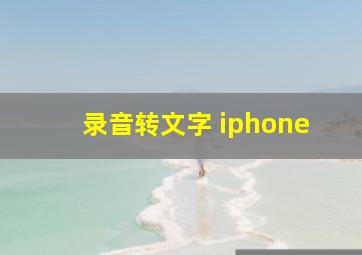 录音转文字 iphone